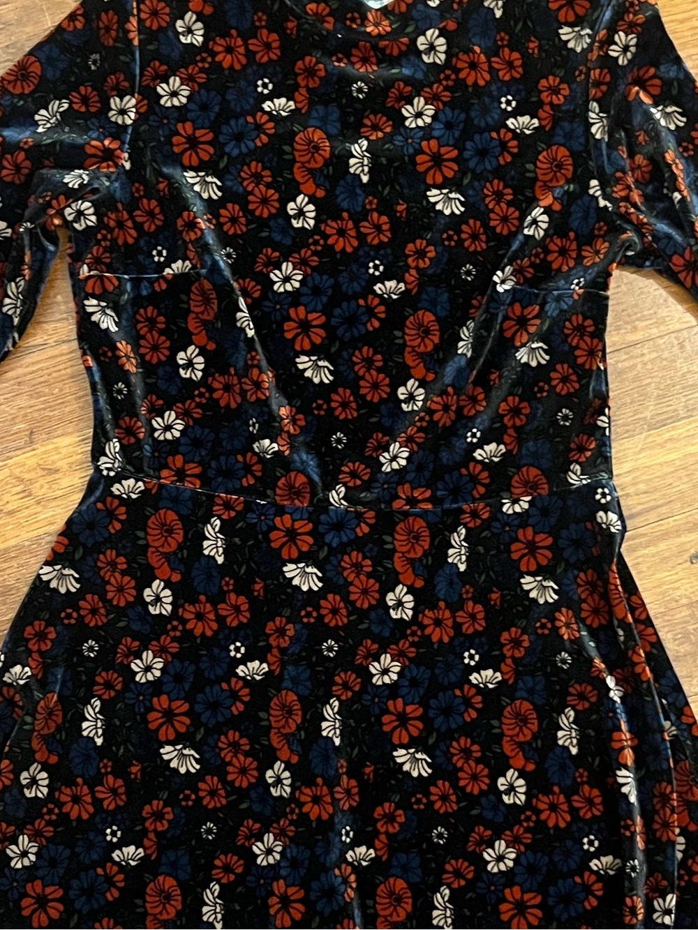 Topshop Floral Velvet Long-Sleeve Fall Dress Fit and Flare Sz 6